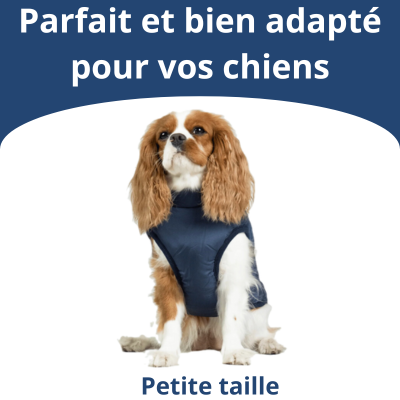 Veste pour Chiens