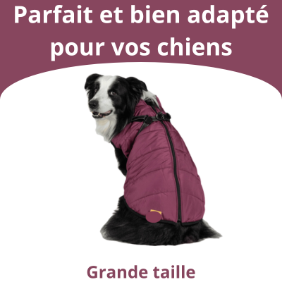 Veste pour Chiens