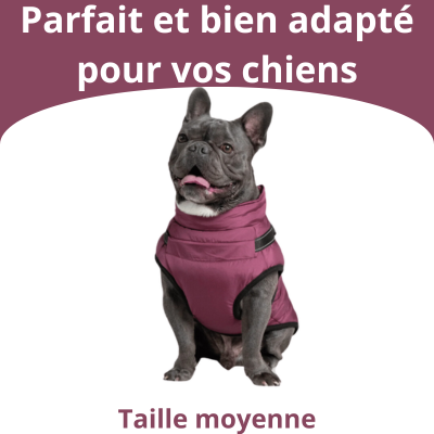 Veste pour Chiens