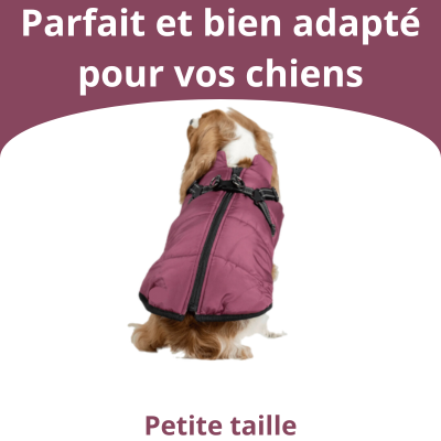 Veste pour Chiens