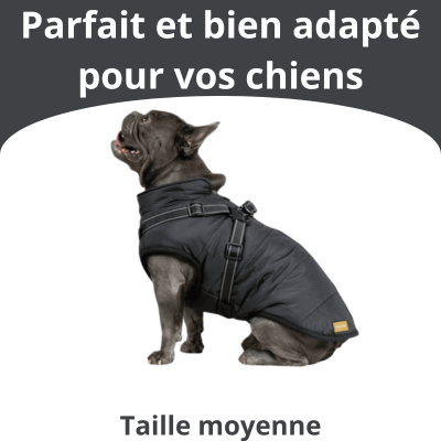 Veste pour Chiens