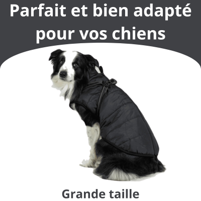 Veste pour Chiens