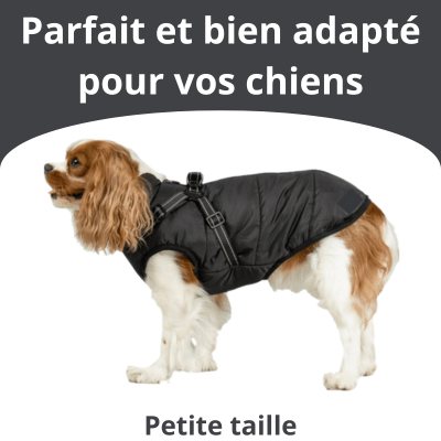 Veste pour Chiens