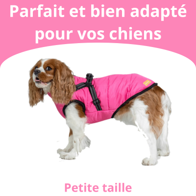 Veste pour Chiens