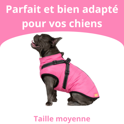 Veste pour Chiens