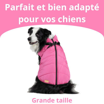 Veste pour Chiens