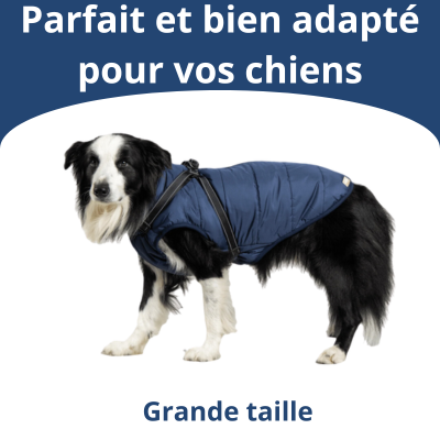 Veste pour Chiens