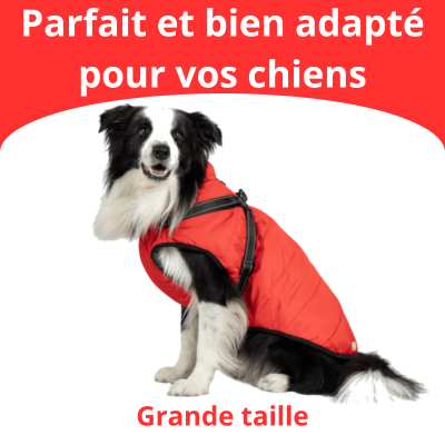 Veste pour Chiens