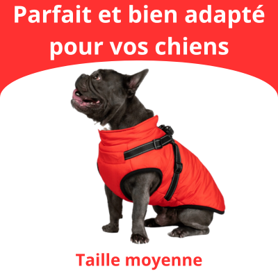 Veste pour Chiens