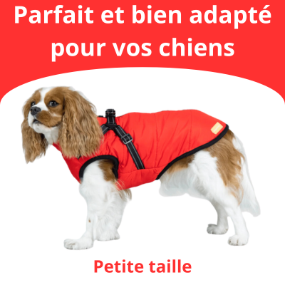 Veste pour Chiens