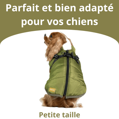 Veste pour Chiens