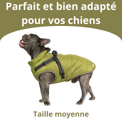 Veste pour Chiens