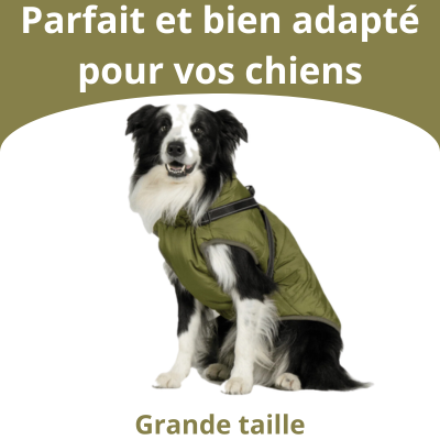 Veste pour Chiens